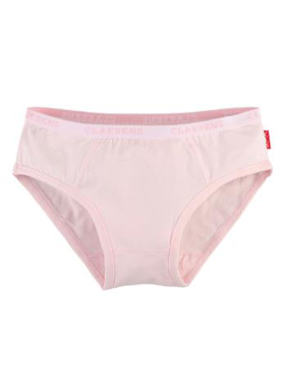 Brief